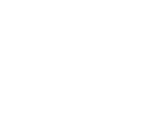Mercure Hotel